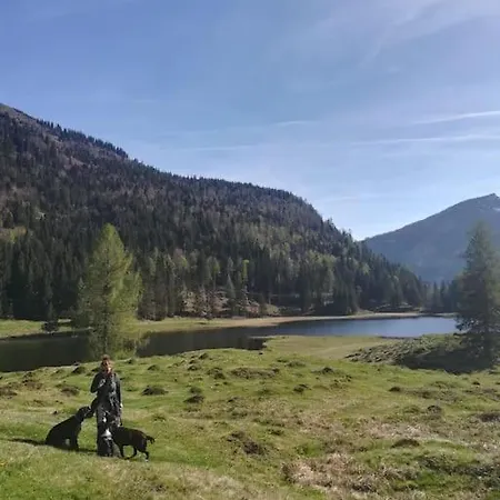 Urlaub Mit Hund Im Salzburger Land Wegscheid