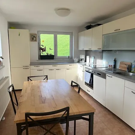 Apartment Urlaub Mit Hund Im Salzburger Land